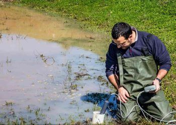 engenheiro ambiental