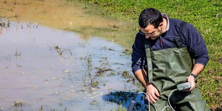 engenheiro ambiental