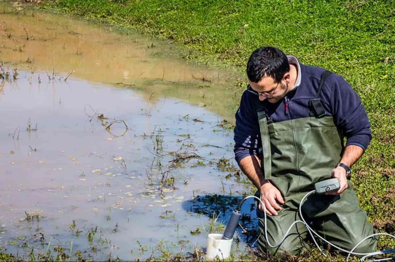Dia do Engenheiro Ambiental: descubra o que faz o profissional dessa área