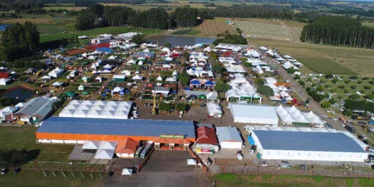 Expoagro Afubra