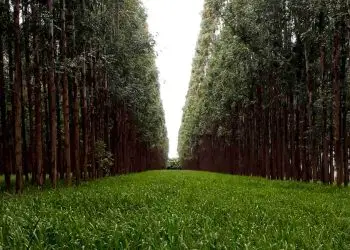 sistemas integrados
