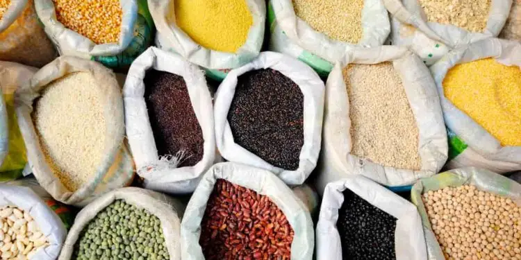 Novas regras para uso e comercialização de sementes entram em vigor em março 1 sacos de sementes