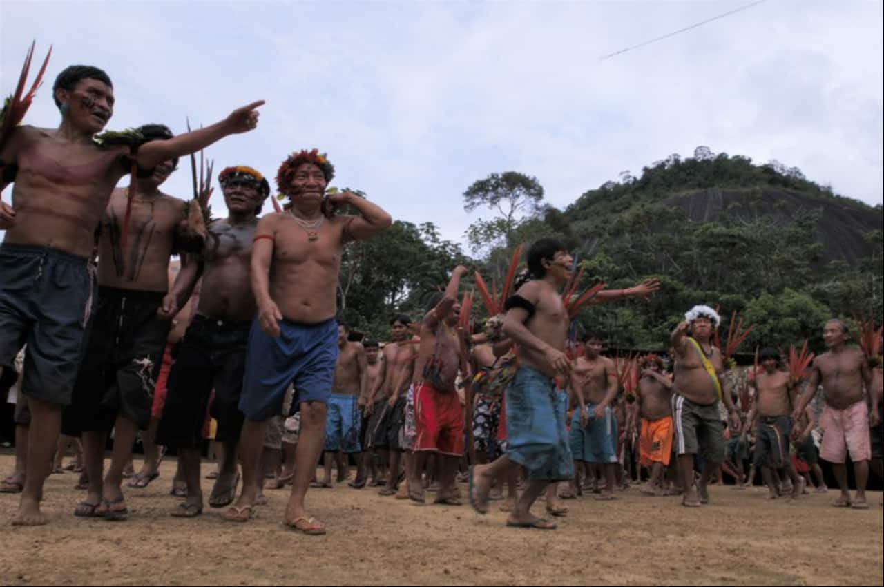 Alemanha doa mais de R$ 1 bi para ações de preservação da Amazônia no Brasil 3 doação