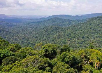 preservação da Amazônia