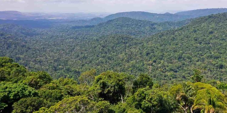 preservação da Amazônia