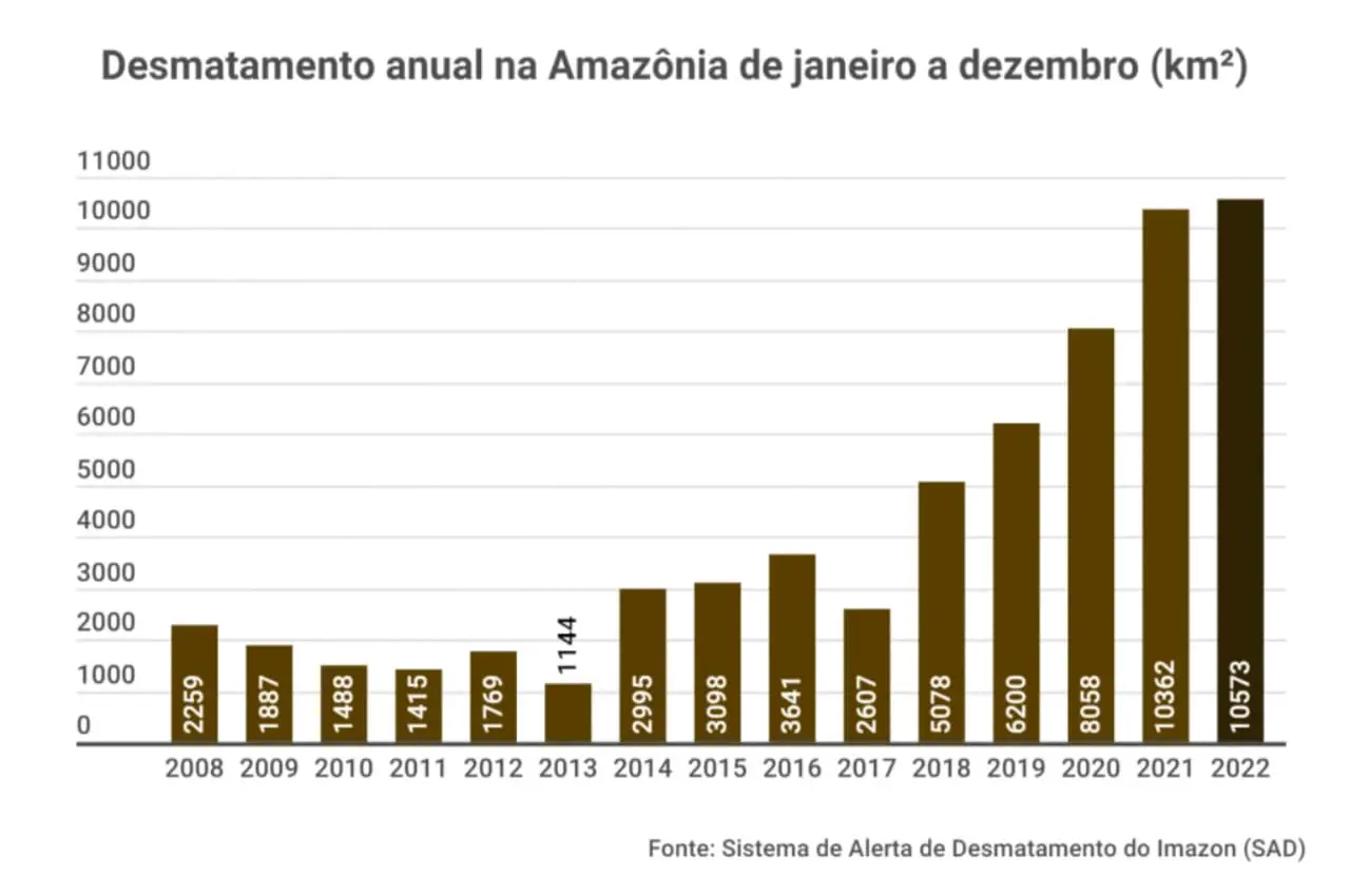 desmatamento