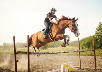 Esportes praticados com cavalos