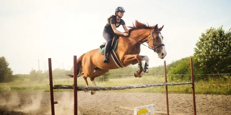 Esportes praticados com cavalos