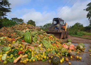 países que mais desperdiçam alimentos