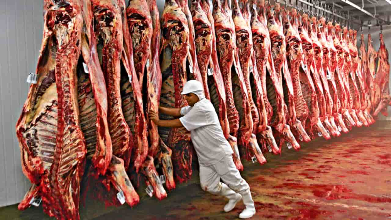 Brasil nunca teve casos clássicos da doença, causados pela ingestão de carnes e ossos contaminados.