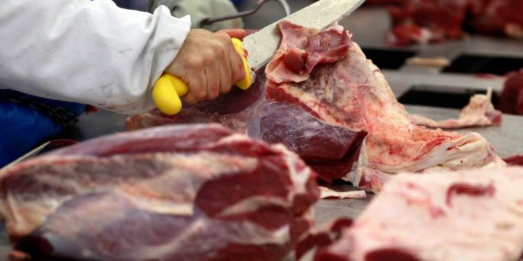 carne bovina