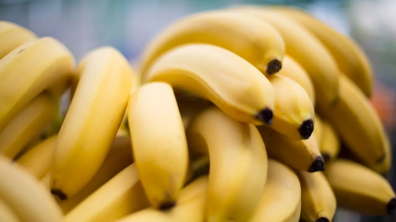 Brasil analisa risco de praga antes de decidir sobre banana do Equador 3 banana