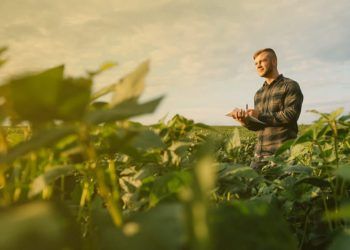 Faculdade CNA abre vagas para cursos de graduação do agro até 15 de fevereiro.