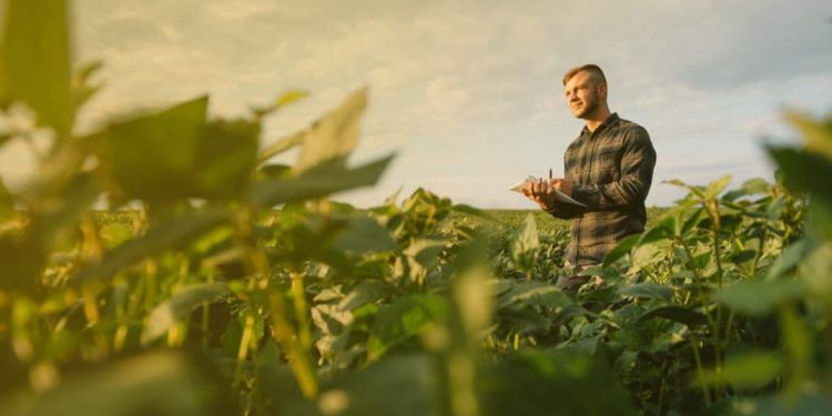 Faculdade CNA abre vagas para cursos de graduação do agro até 15 de fevereiro.