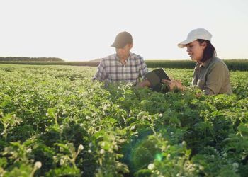 Faculdade CNA prorroga inscrições para cursos do agro até 6 de março.