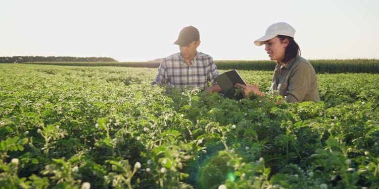 Faculdade CNA prorroga inscrições para cursos do agro até 6 de março.