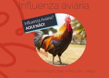 Mapa lança livro digital para prevenção da influenza aviária.