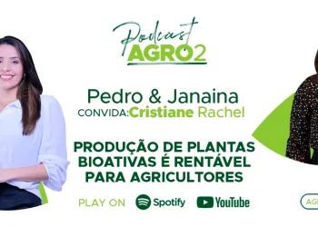 Podcast com Cristiane Rachel de Paiva Felipe