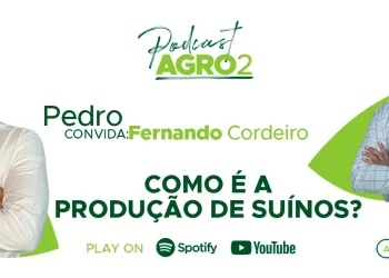 Podcast com Fernando Cordeiro