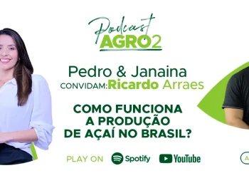 Podcast com Ricardo Arraes