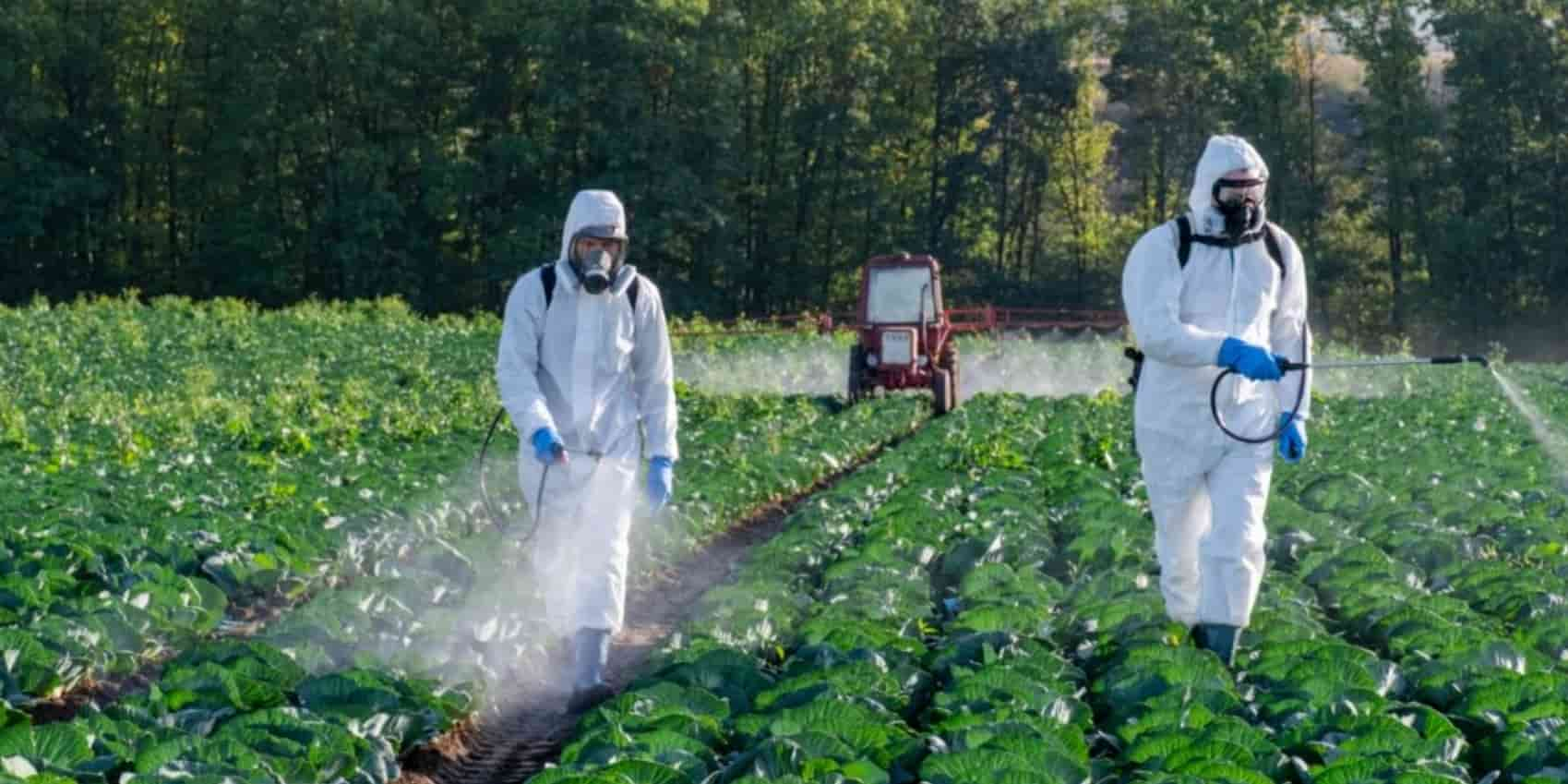 Ações de prevenção de acidentes e uso de EPIs tornam ambiente de trabalho seguro