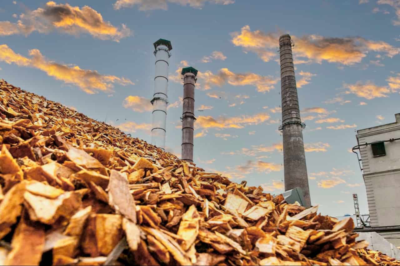 Biomassa que utiliza o bagaço da cana é um grande exemplo de sustentabilidade