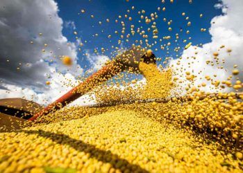 Brasil deve produzir 310,6 milhões de toneladas de grãos na safra 2022/23.