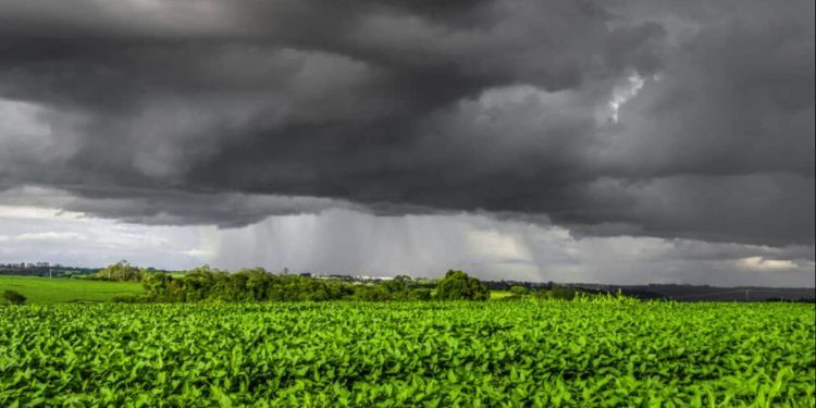 Chuva deve continuar pelo Brasil até depois de março, prevê Inmet.