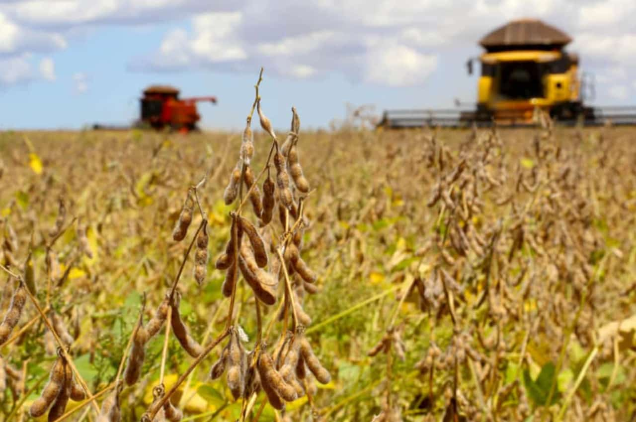 Chuva nos últimos meses também podem amenizar o impacto nas culturas agrícolas