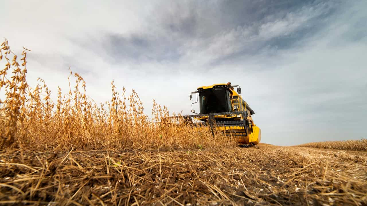 Colheita da safra de soja atingiu 15,4% da área plantada no Brasil no início de fevereiro.