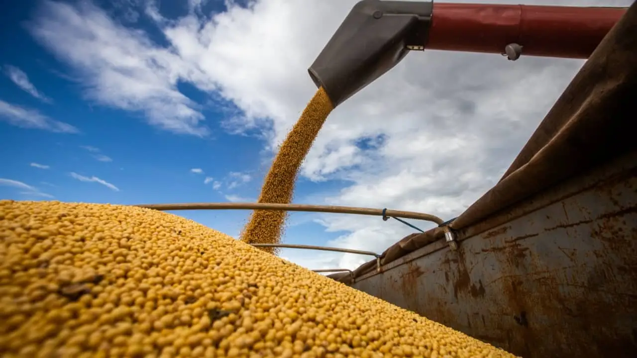 Complexo soja representou mais da metade das exportações goianas em 2022