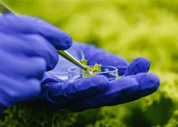 Senar Goiás abre incrições para curso online e gratuito sobre Bioinsumos.