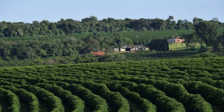 Curso gratuito ensina licenciamento ambiental para propriedades rurais.