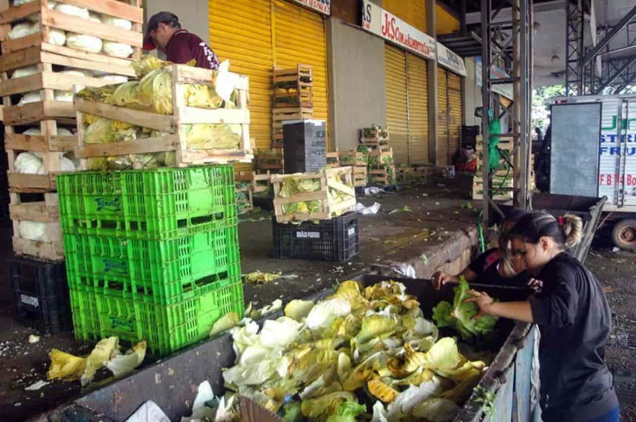 alimentos