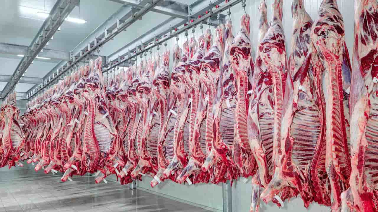 Suspeita de vaca louca em Minas afeta mercado da carne no país : r/brasil