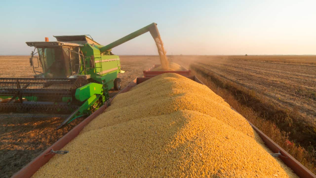 Embarques de soja registram queda de 66% em janeiro.