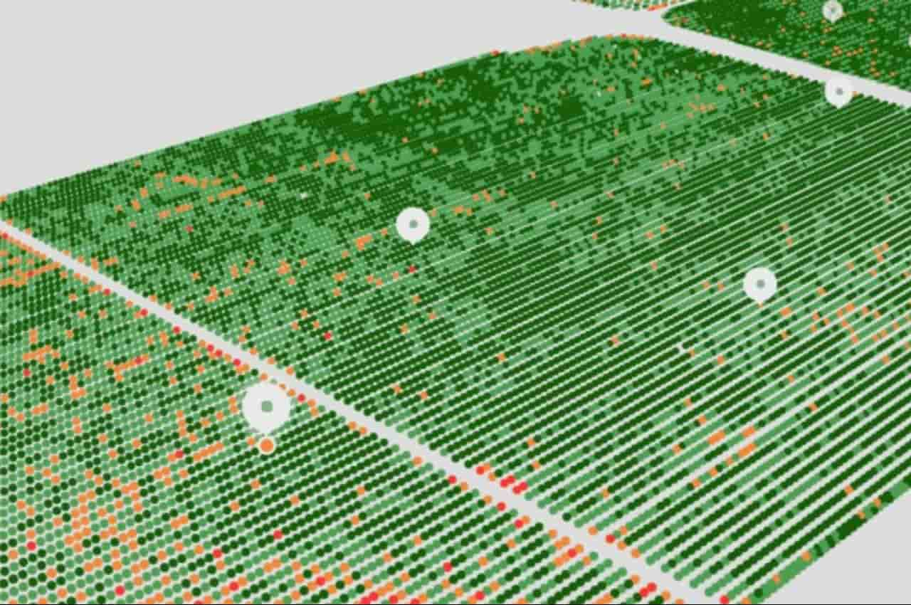 Equipamento ajuda a identificar plantas doentes e facilita o manejo.