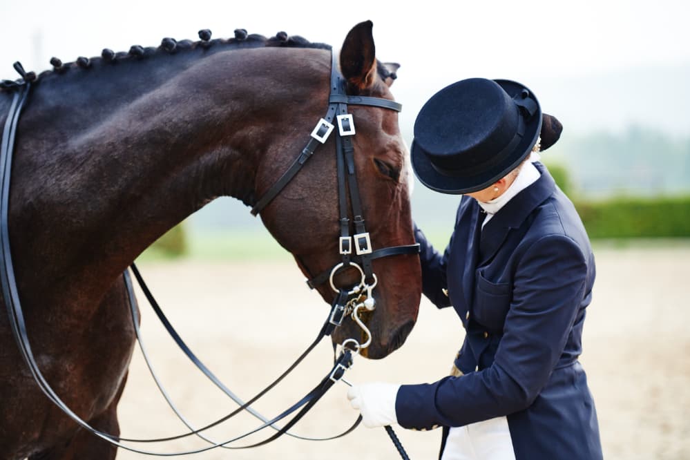 11 Esportes com Cavalos para conhecer e se encantar