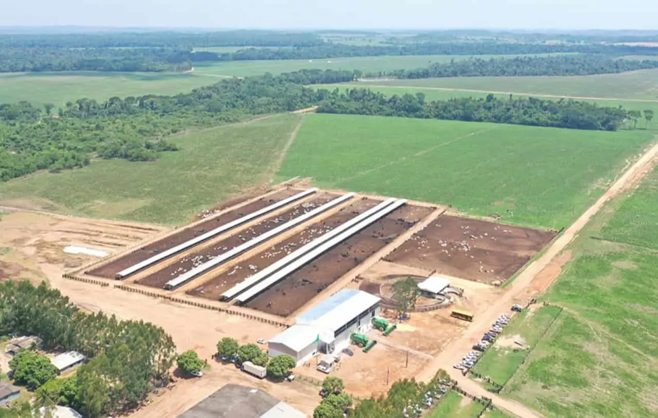 Fazenda Pontal utiliza sistema ILP e manejo de pastagens para melhorar produtividade da pecuária. 