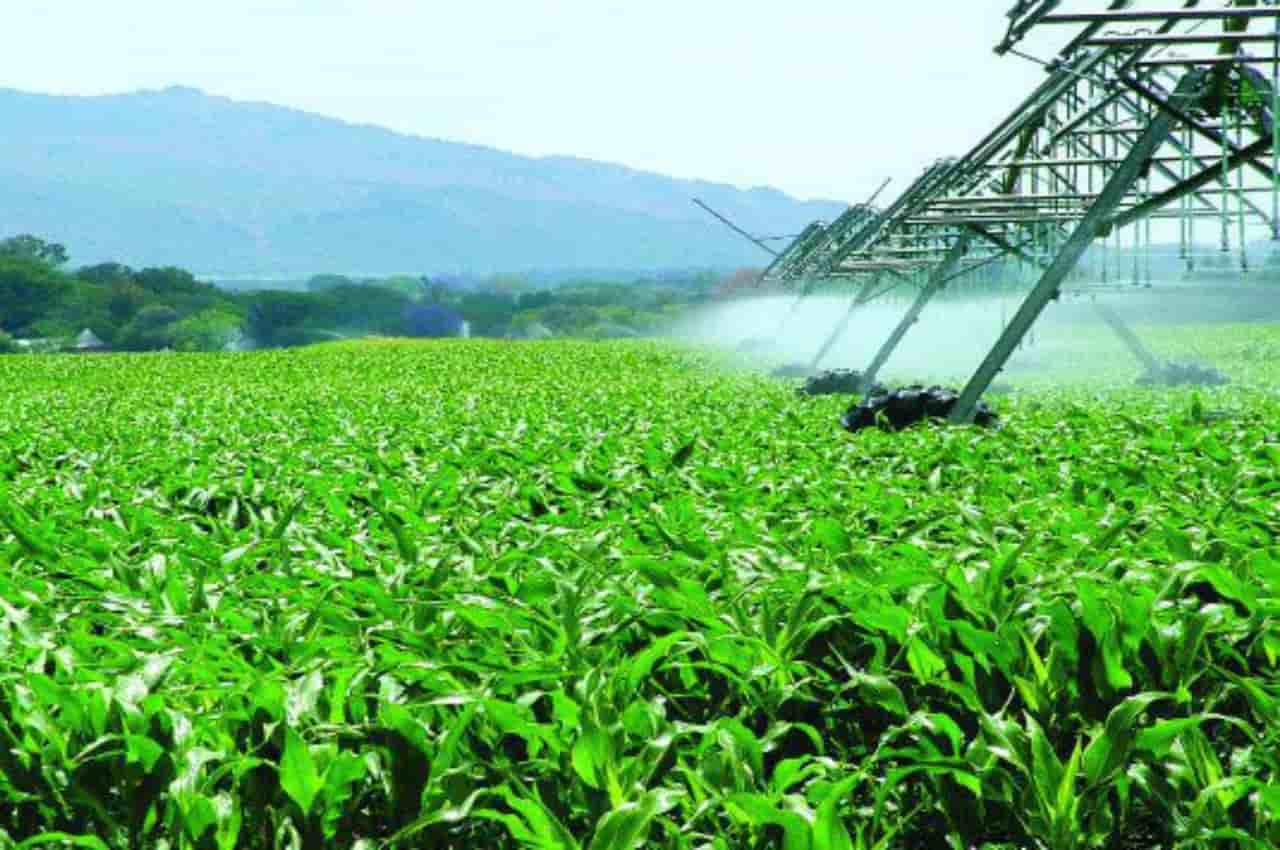 Entrega de adubos no país registra queda de 11% no acumulado até novembro 3 fertilizantes