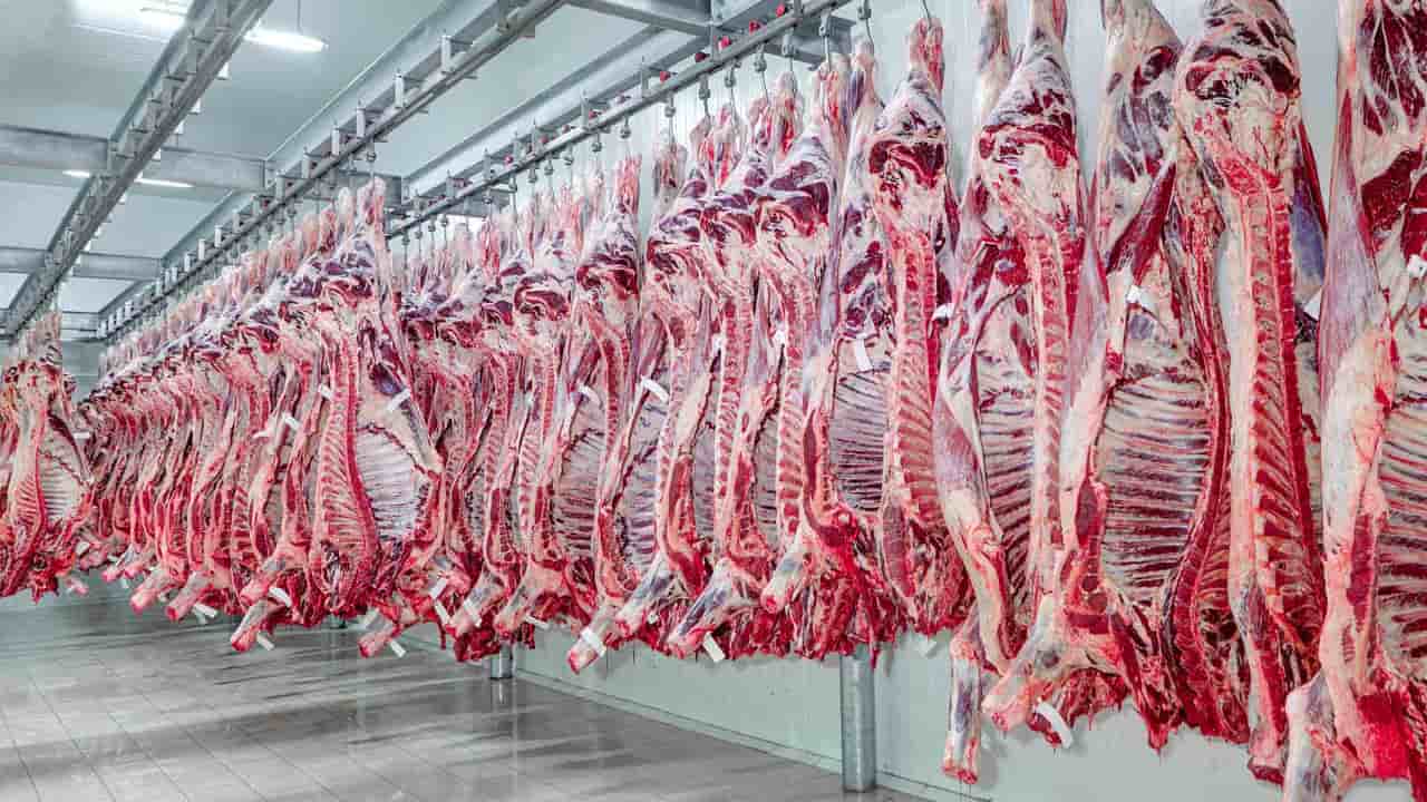 Foram exportada em janeiro cerca de 182 mil toneladas de carne bovina.
