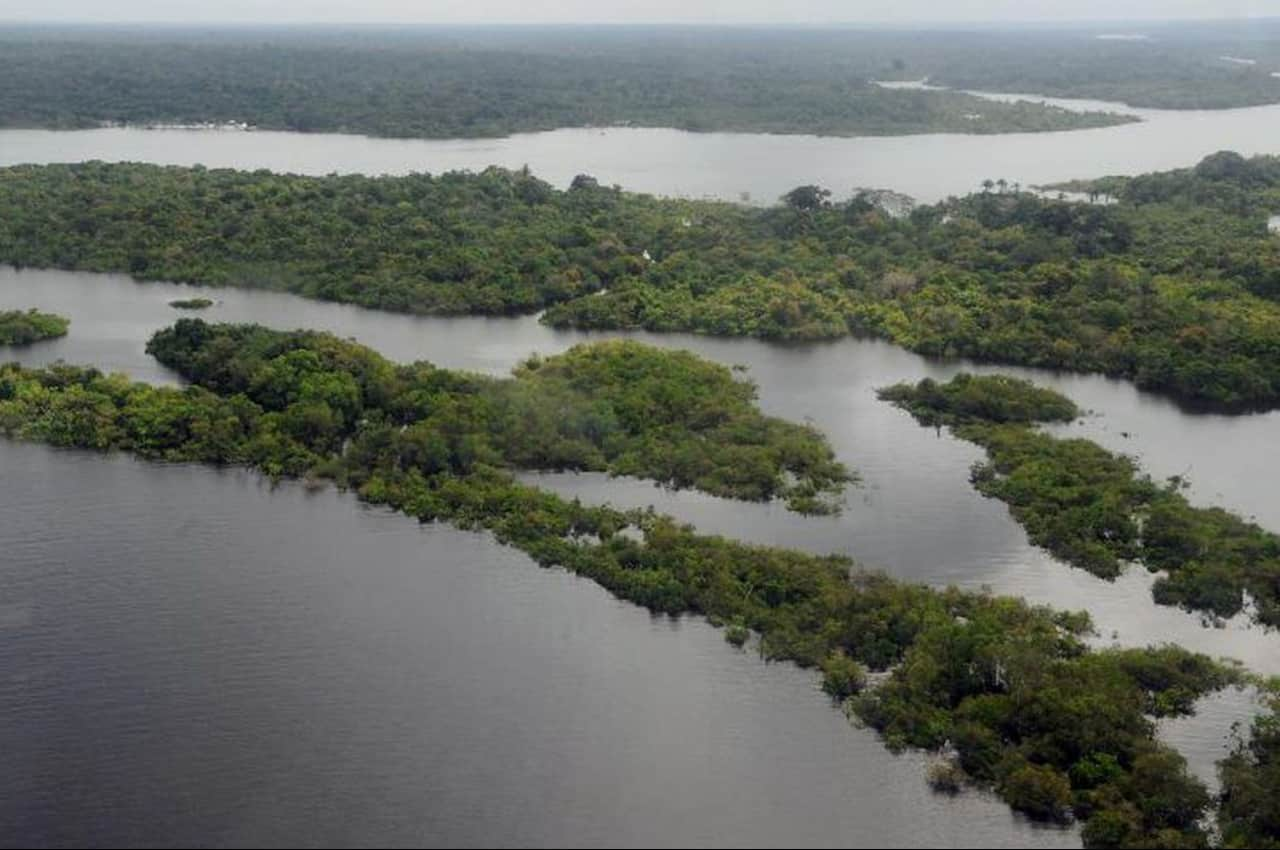 Fundo Amazônia