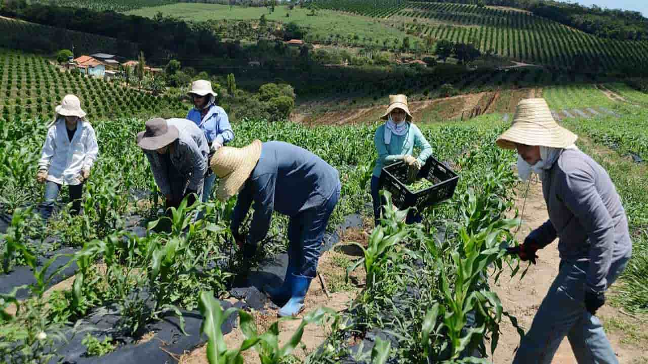 Graduações são de gestão do agronegócio, ambiental, recursos humanos e processos gerenciais.