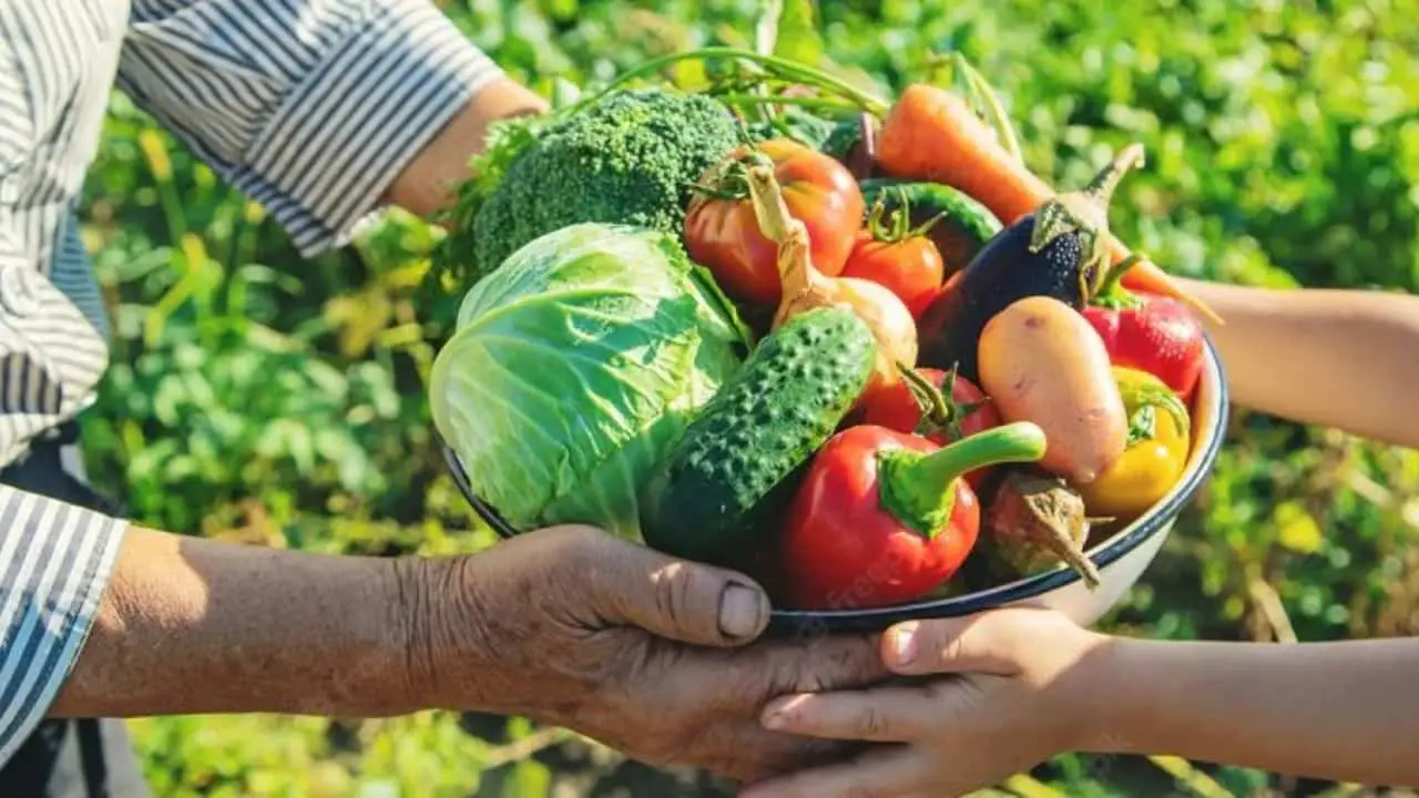 Governo Federal prorroga prazo para cadastro na Agricultura Familiar até 2024 2 Mais de 2 milhões de famílias devem ser beneficiadas com o registro de inscrição ativa no CAF.