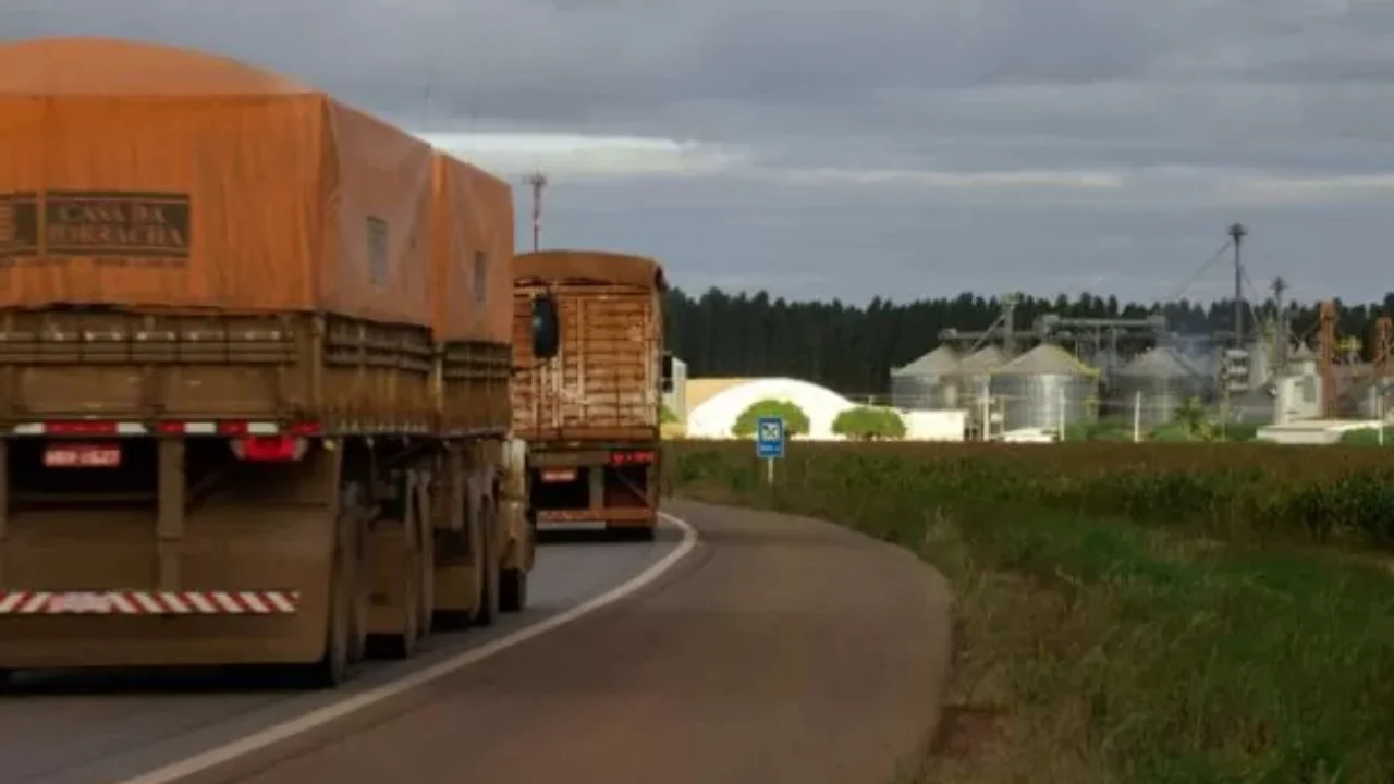 Melhorias na infraestrutura logística do país impulsionaria exportações do agronegócio.