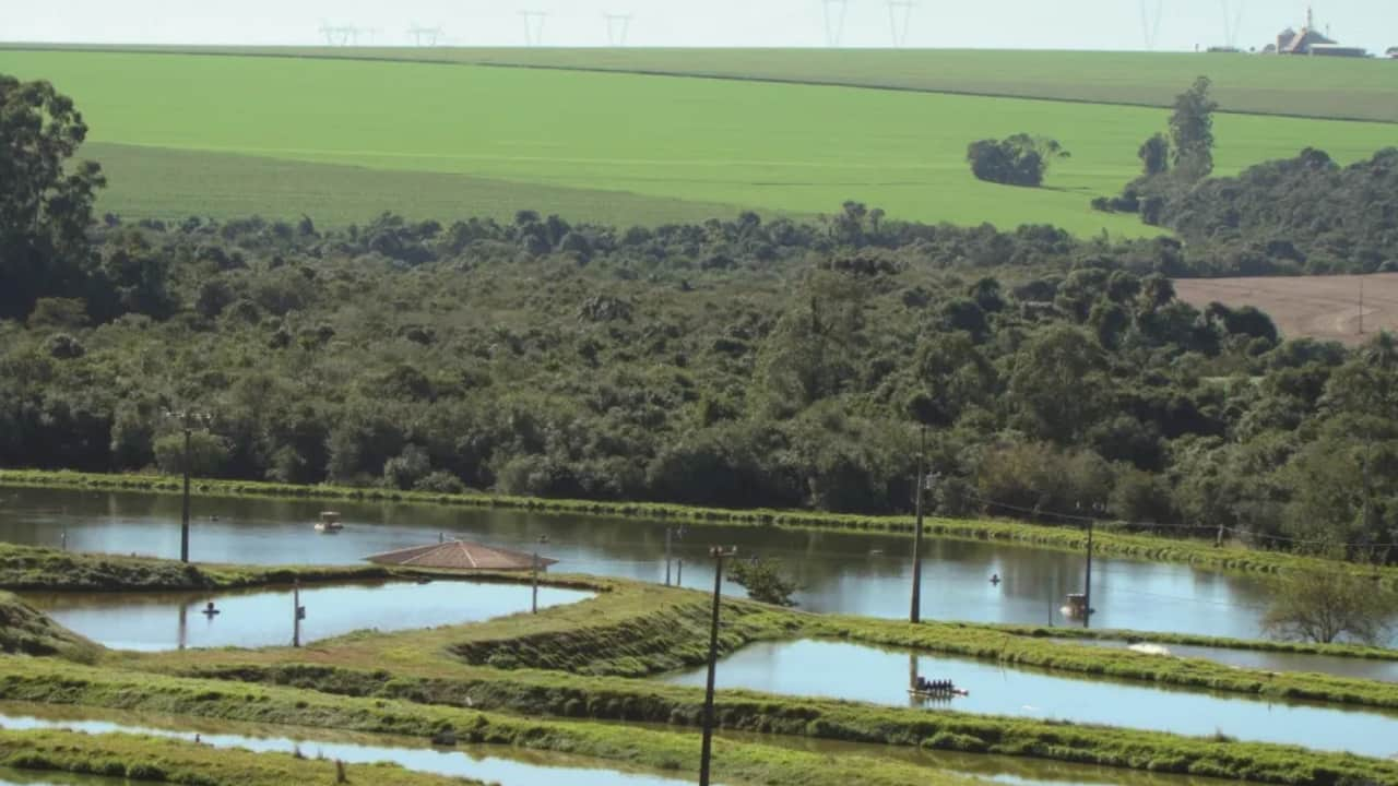 O conteúdo do curso aborda desde legislação até formas de manejo integrado com o meio ambiente.