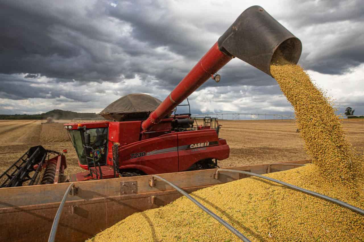 Chuvas intensas impactam colheita de soja que segue ritmo lento no Centro-Oeste 2 Produtor conta com intervalo de chuvas para colher e garantir soja de qualidade.