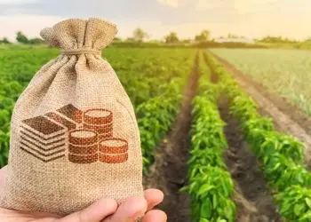 Recursos de R$2,9 bilhões do BNDES para crédito rural se esgotam em 30 dias.