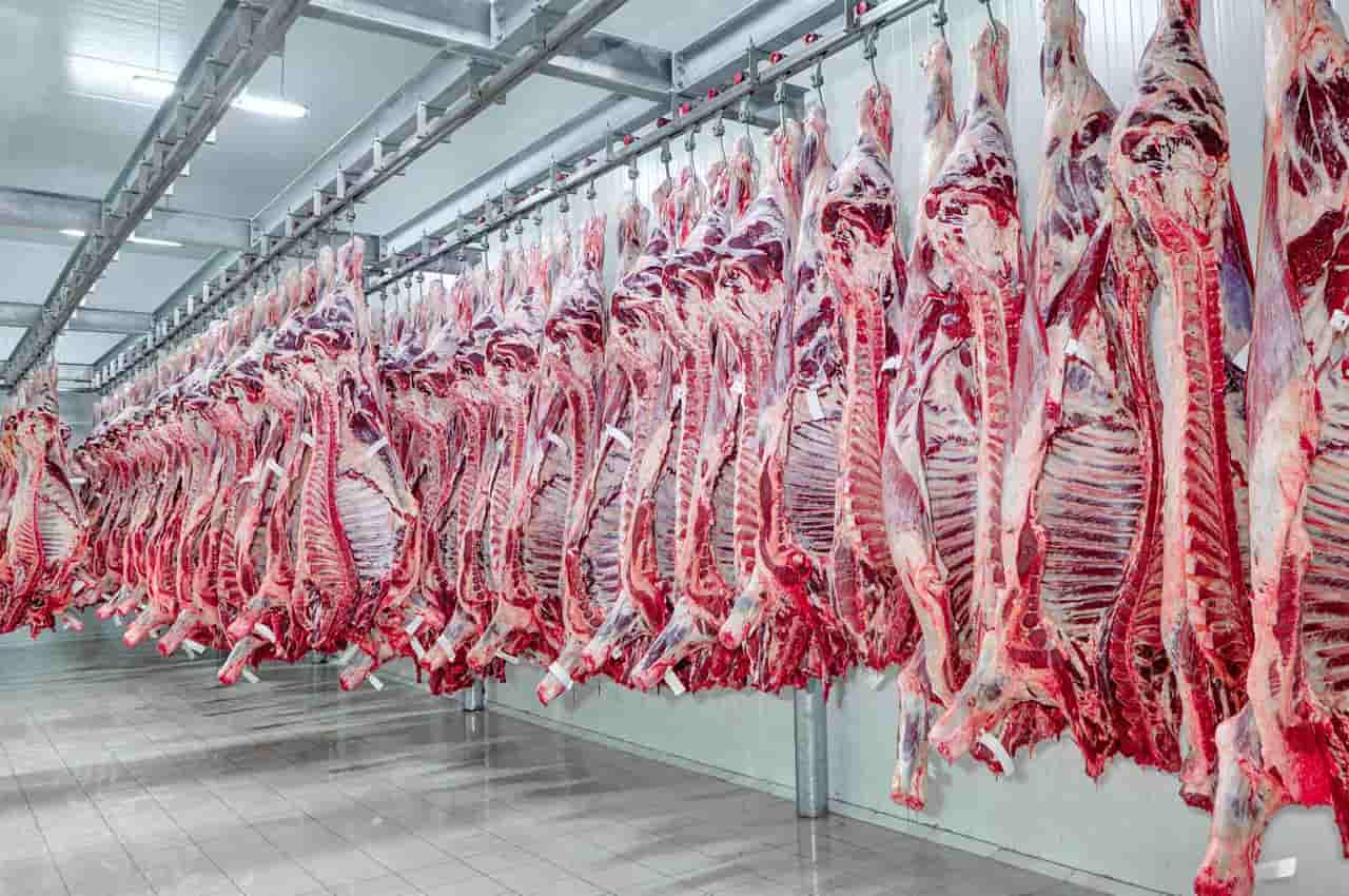 Segundo produto mais exportado em Goiás foram as carnes.