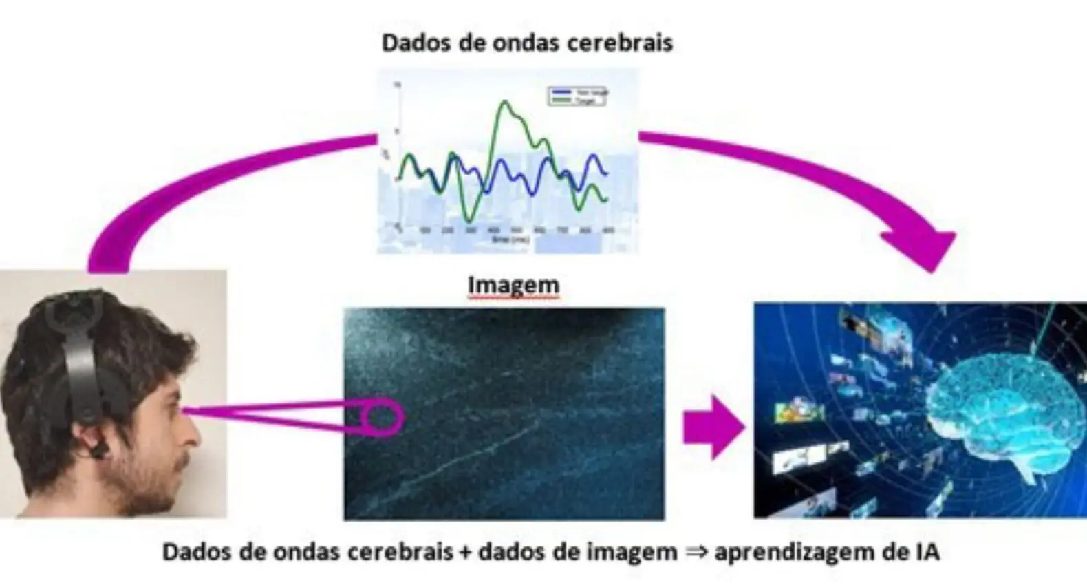 Simulação de como funciona o equipamento de Inteligência Artificial (IA).